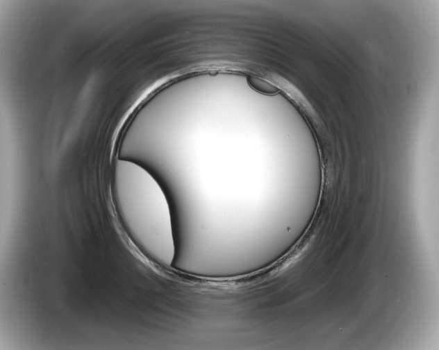 X0000086230844200703290942