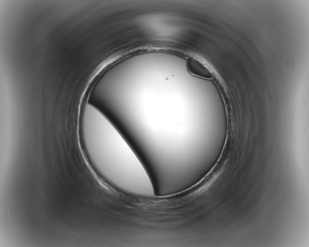 X0000086230845200703290942