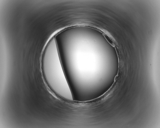 X0000086230846200703290942