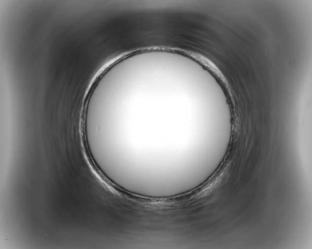 X0000086230847200703290942