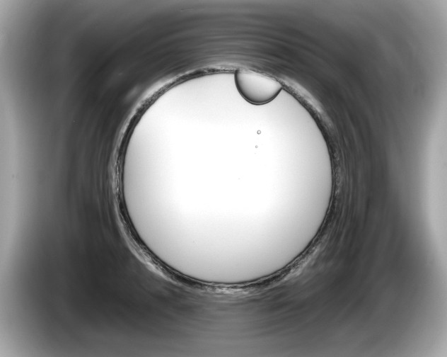X0000086230848200703290942