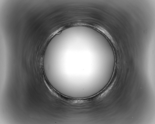 X0000086230849200703290942