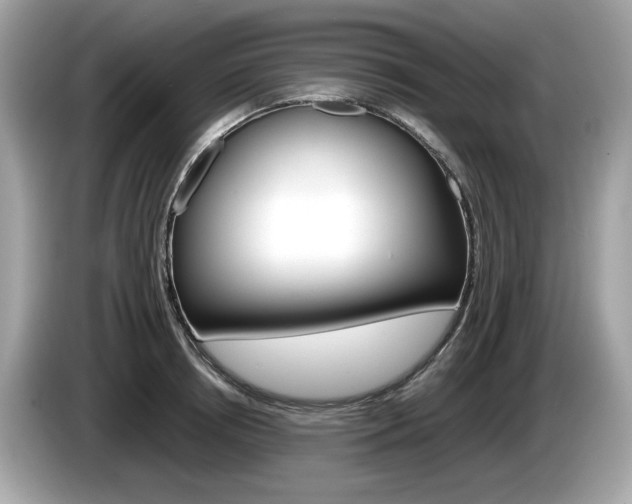 X0000086230850200703290942