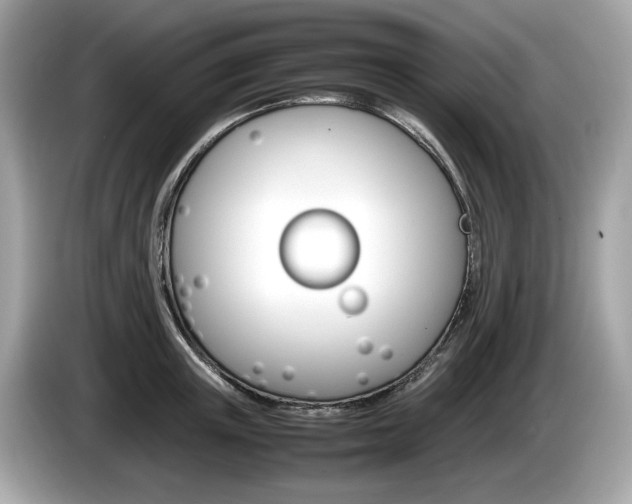 X0000086230851200703290942
