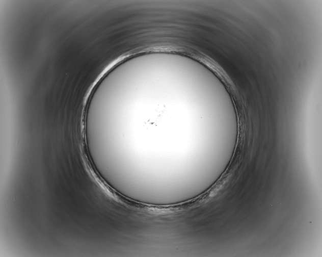 X0000086230852200703290942