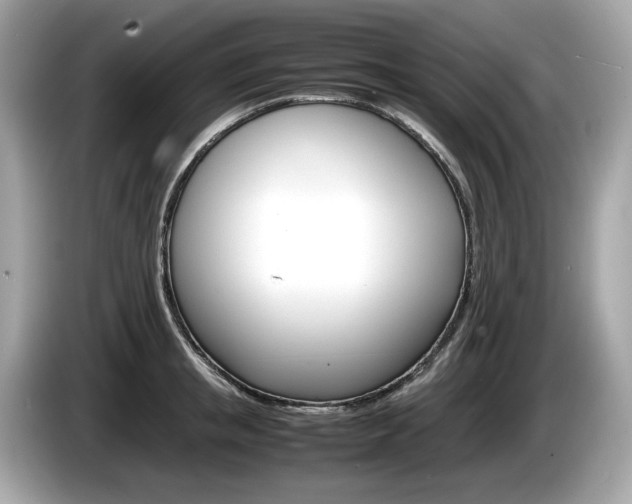 X0000086230853200703290942