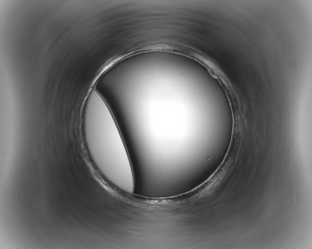 X0000086230858200703290942