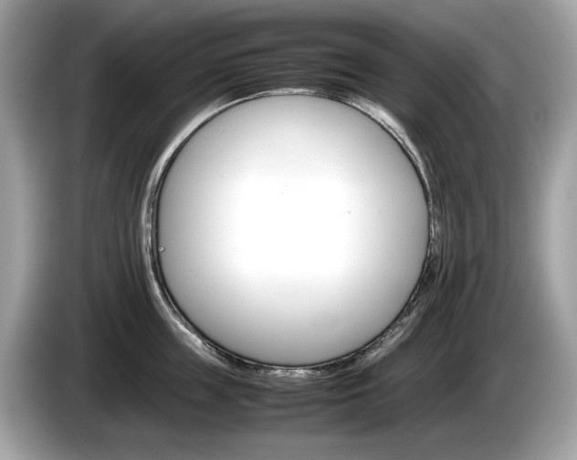 X0000086230859200703290942