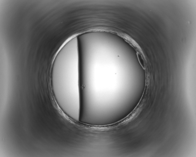 X0000086230860200703290942