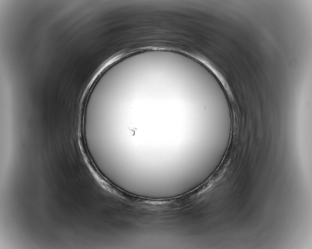 X0000086230861200703290942