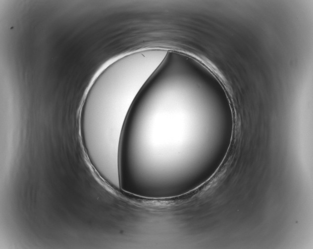X0000086230862200703290942