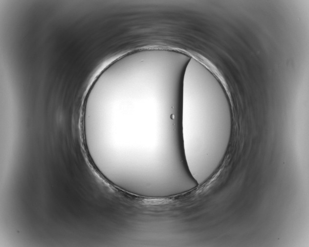 X0000086230863200703290942