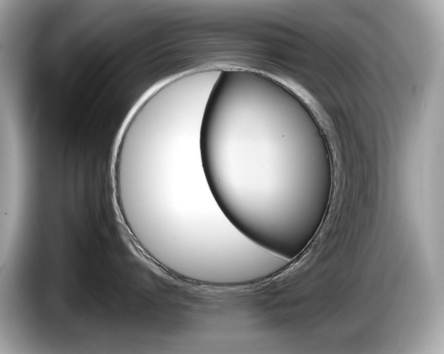 X0000086230864200703290942