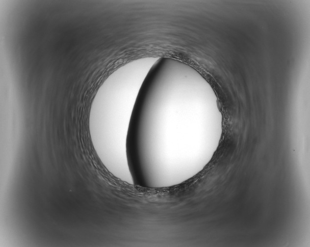 X0000086230865200703290941