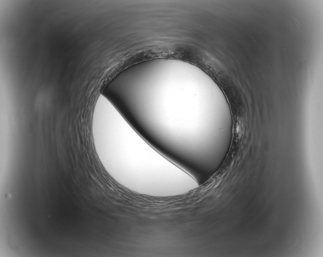 X0000086230867200703290941