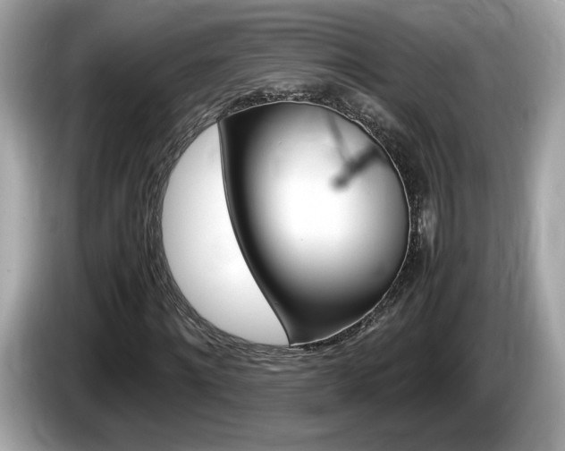 X0000086230868200703290941