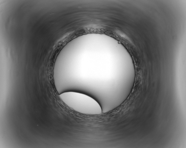 X0000086230870200703290941