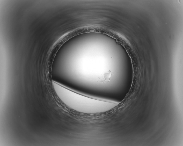X0000086230872200703290941