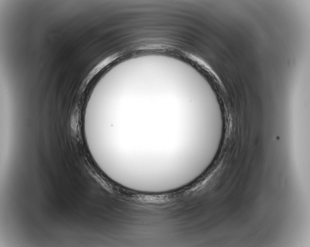 X0000086230874200703290941