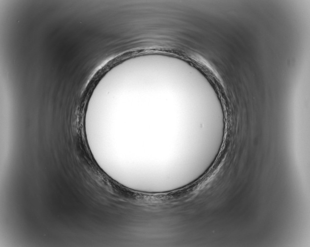 X0000086230875200703290941