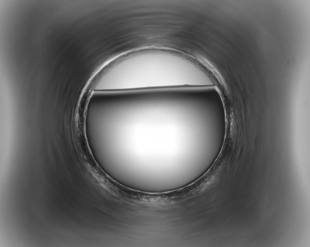 X0000086230876200703290941
