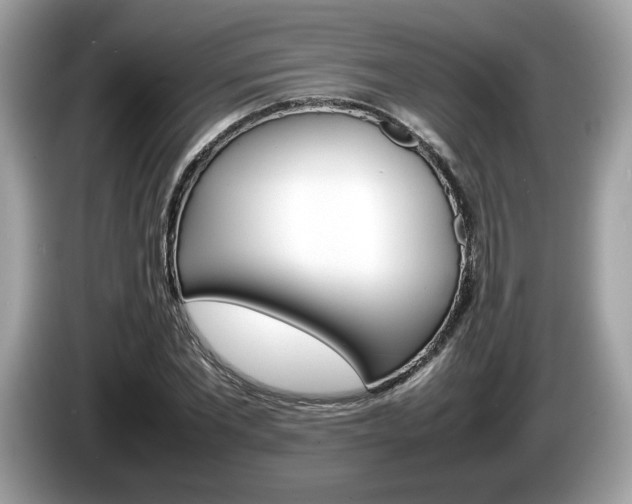 X0000086230877200703290941