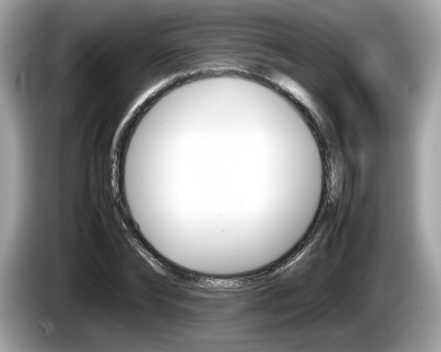 X0000086230878200703290941