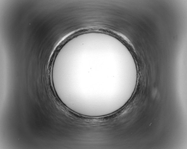 X0000086230879200703290941