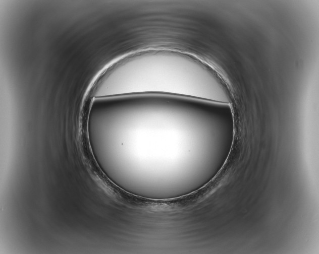 X0000086230880200703290941