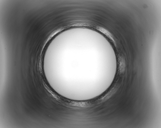 X0000086230882200703290941