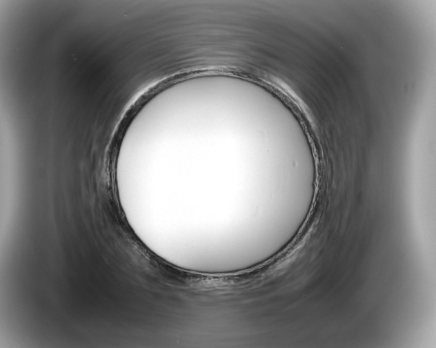 X0000086230883200703290941