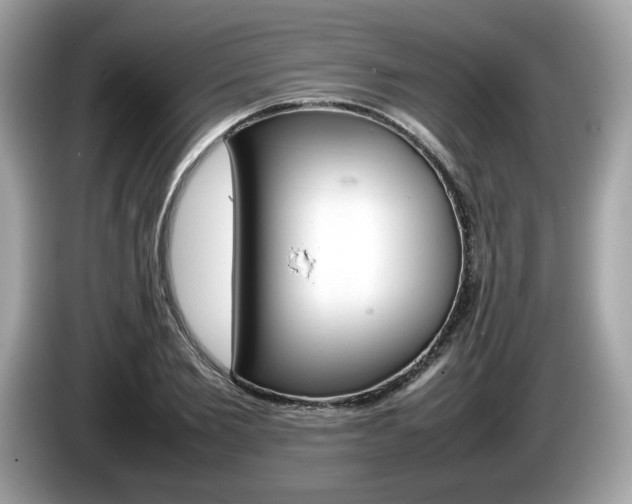 X0000086230885200703290941