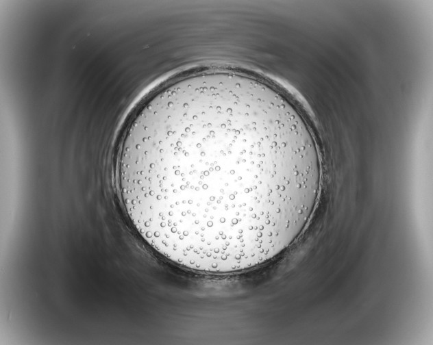X0000086230887200703290941