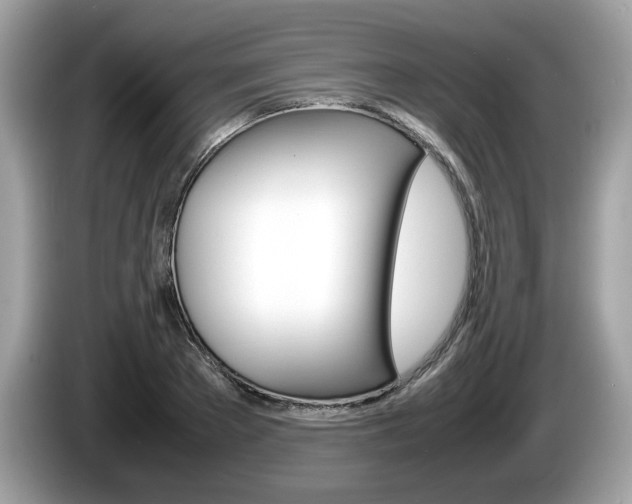 X0000086230889200703290941