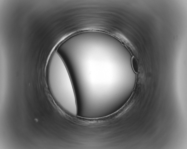 X0000086230892200703290941
