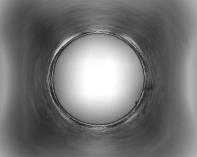 X0000086230893200703290941