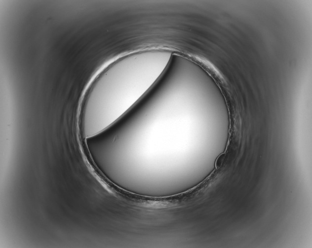 X0000086230894200703290941