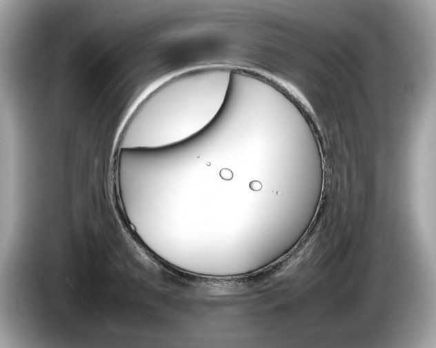 X0000086230895200703290941