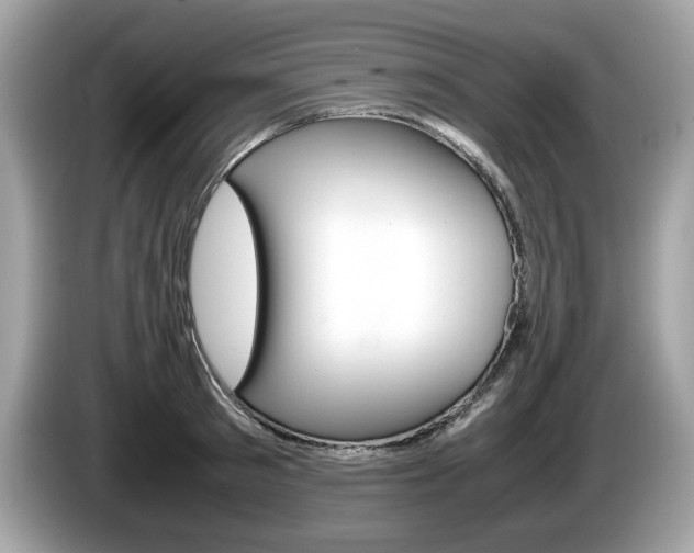 X0000086230897200703290941