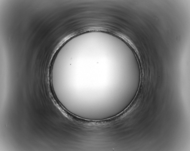 X0000086230898200703290941