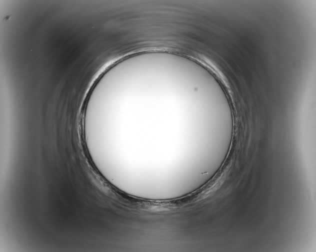 X0000086230899200703290941