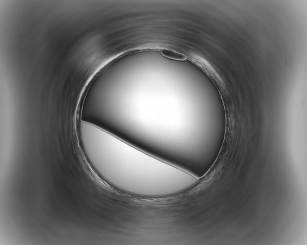 X0000086230900200703290941