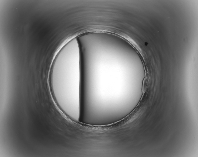 X0000086230901200703290941