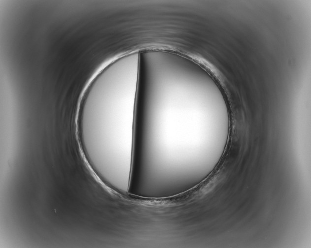 X0000086230902200703290941