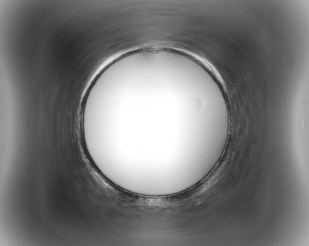 X0000086230903200703290941