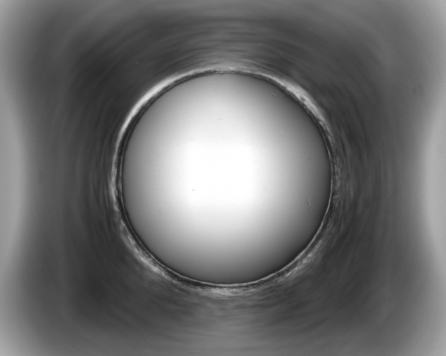 X0000086230904200703290941