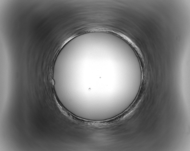 X0000086230905200703290941