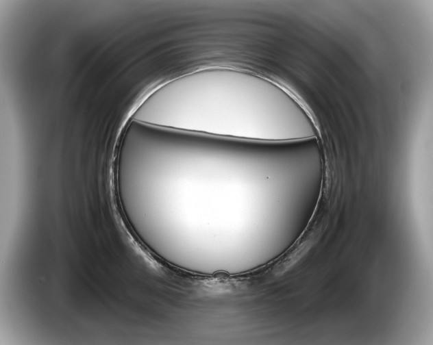 X0000086230906200703290941