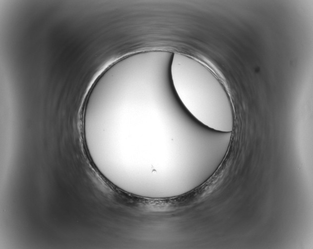 X0000086230907200703290941