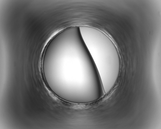 X0000086230909200703290941